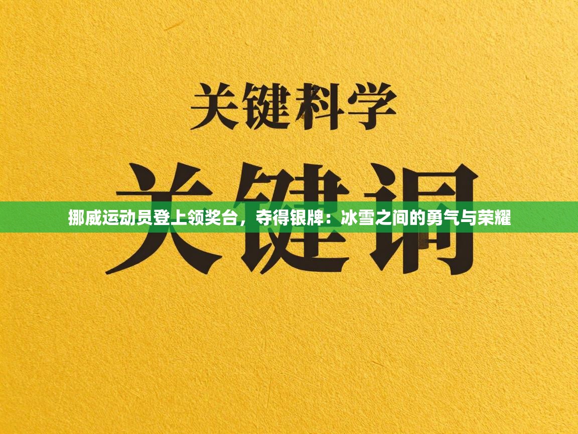 挪威运动员登上领奖台,夺得银牌:冰雪之间的勇气与荣耀 第1张